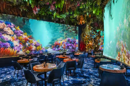 Modulo Pi media servers used by Ephemera Group to create immersive dining across France