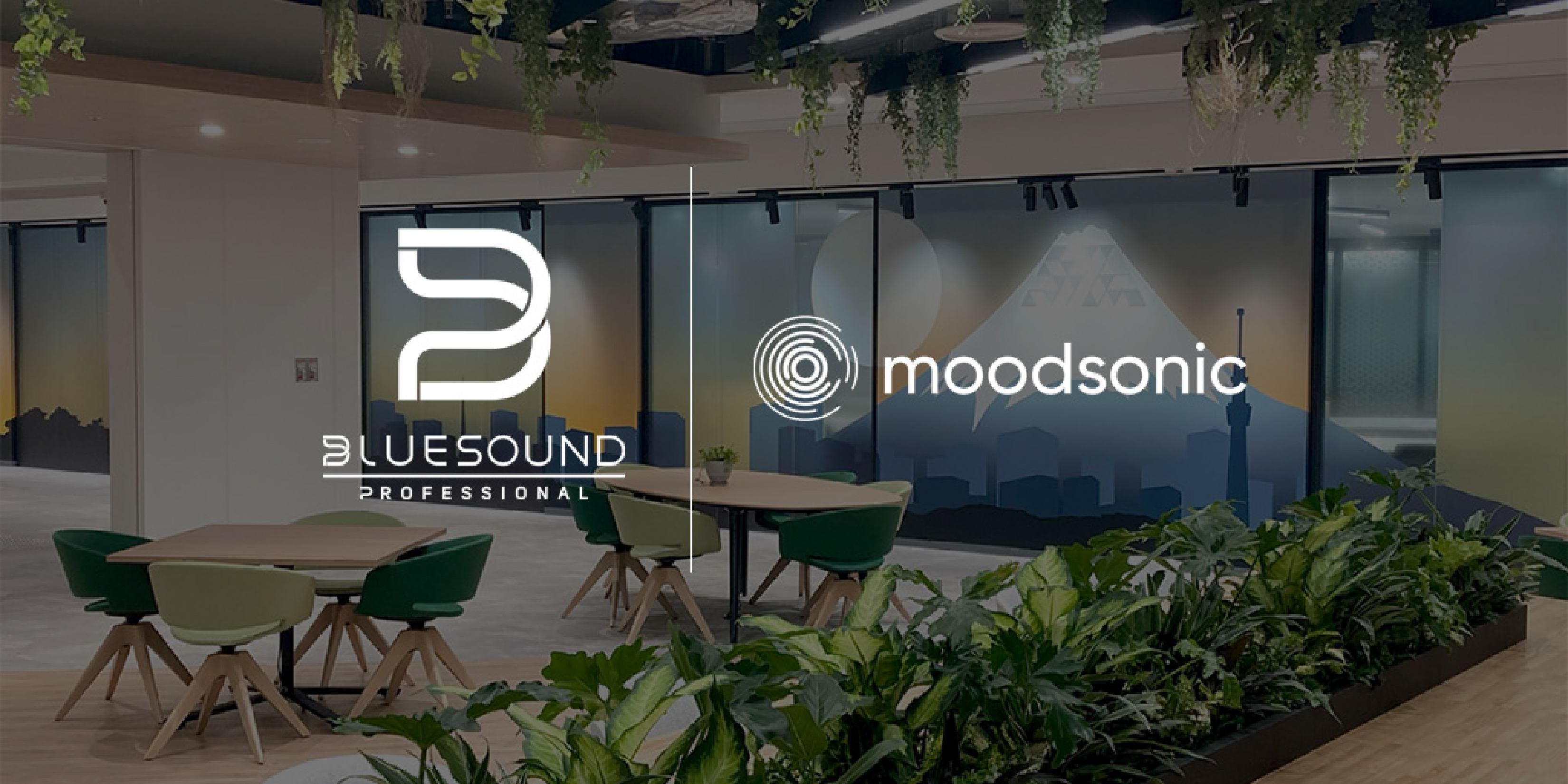 Moodsonic and Bluesound Professional partner to accelerate the global adoption of generative soundscaping