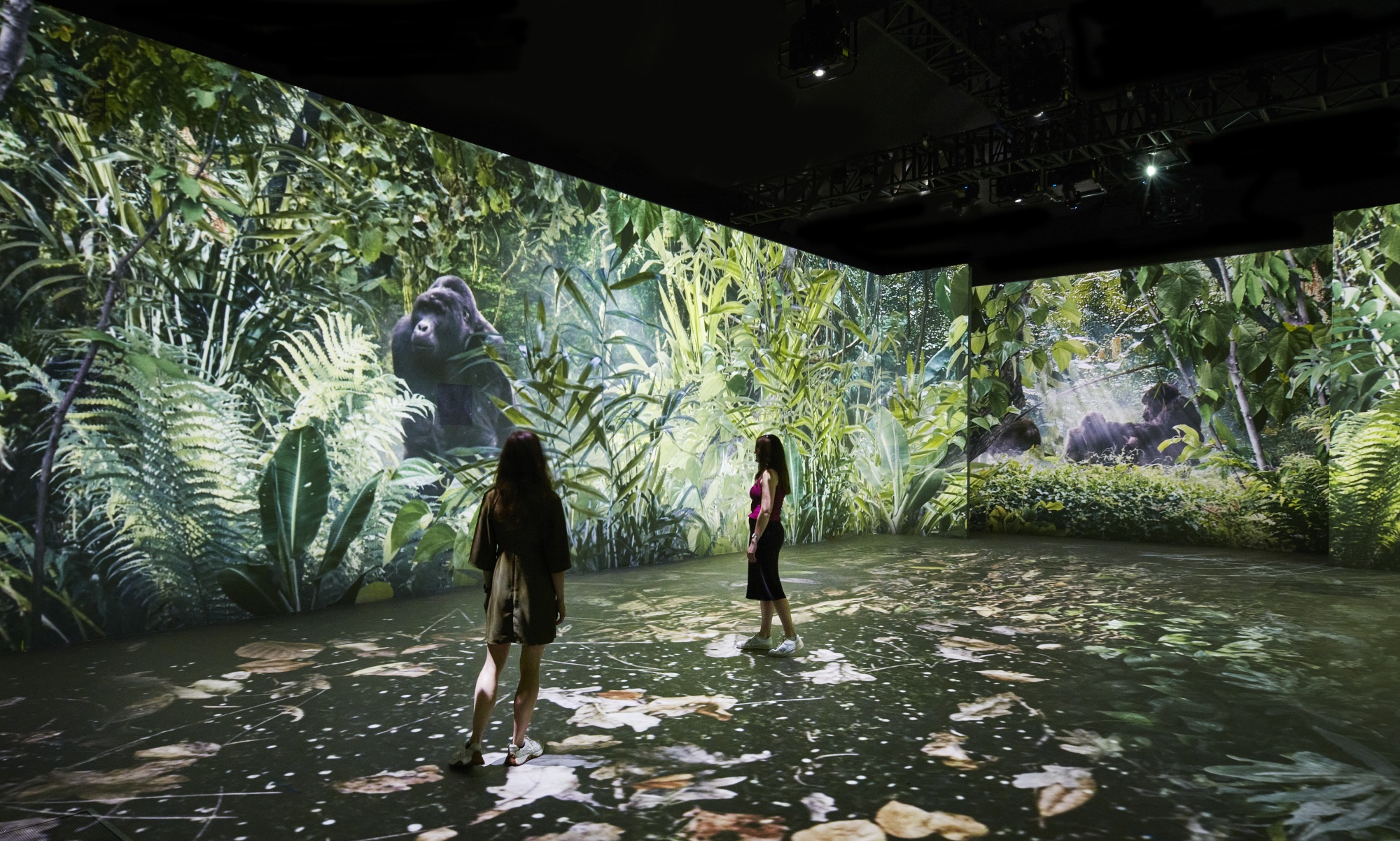 Hive brings nature to life in David Attenborough immersive experience