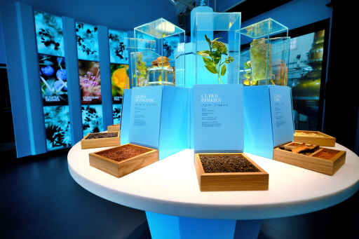 Bombay Sapphire updates Botanical Room with integrated AV storytelling system