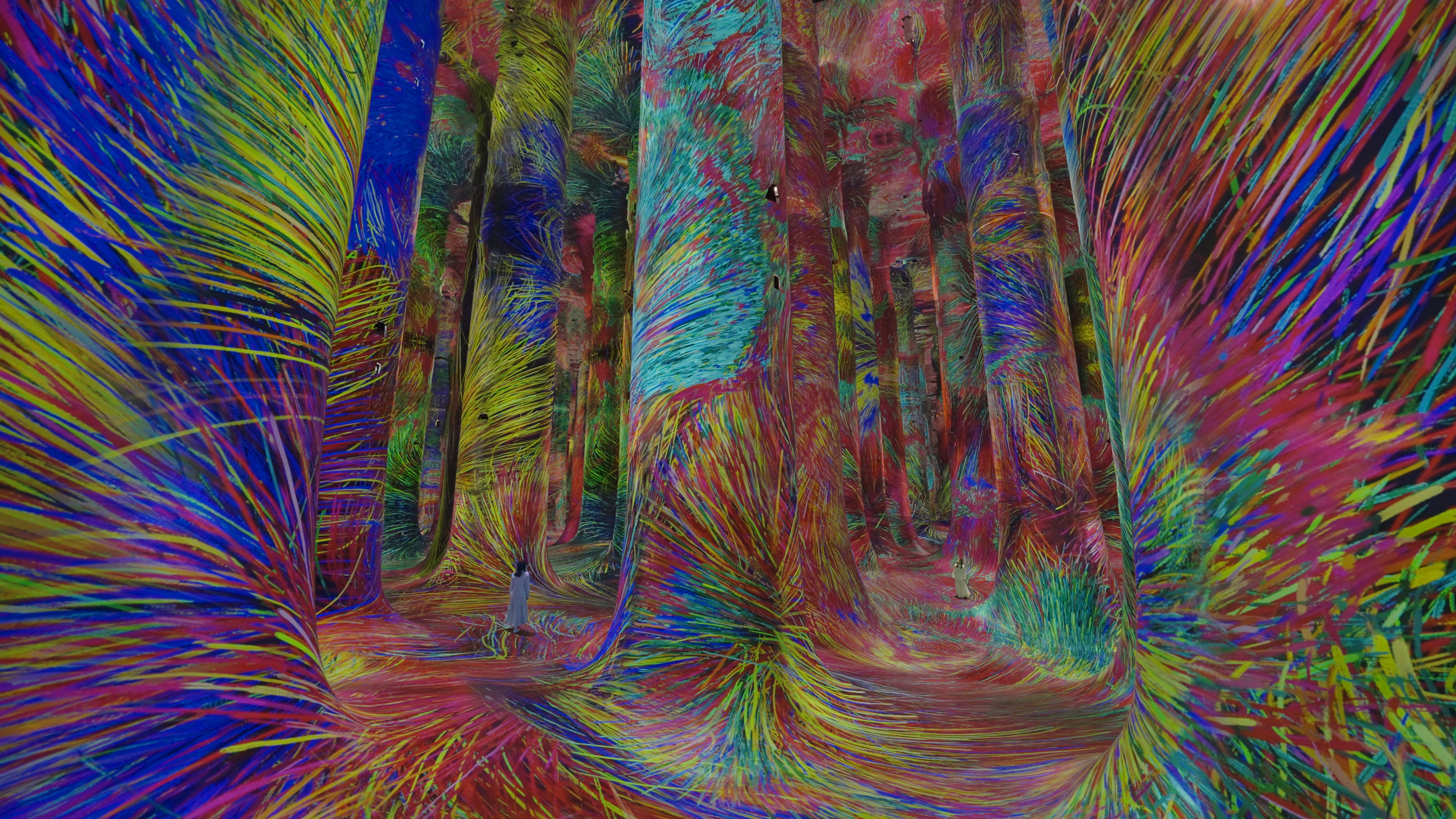 teamLab Phenomena Abu Dhabi is unveiled