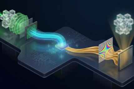 Research team develops holographic telepresence system that captures and replays 3D wavefronts in real time