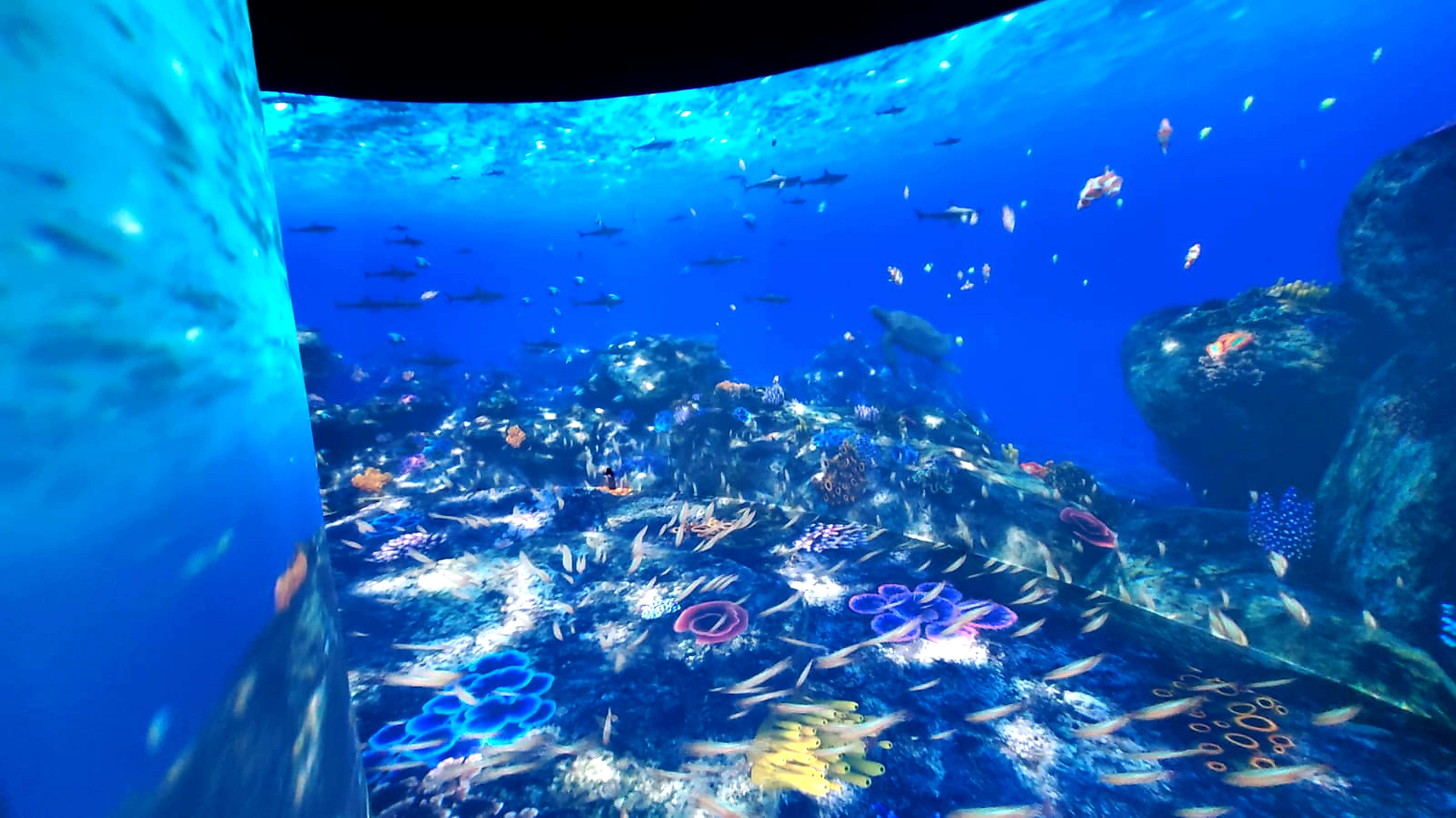 Christie powers immersive experience at Kia E-Ground in Ecuador