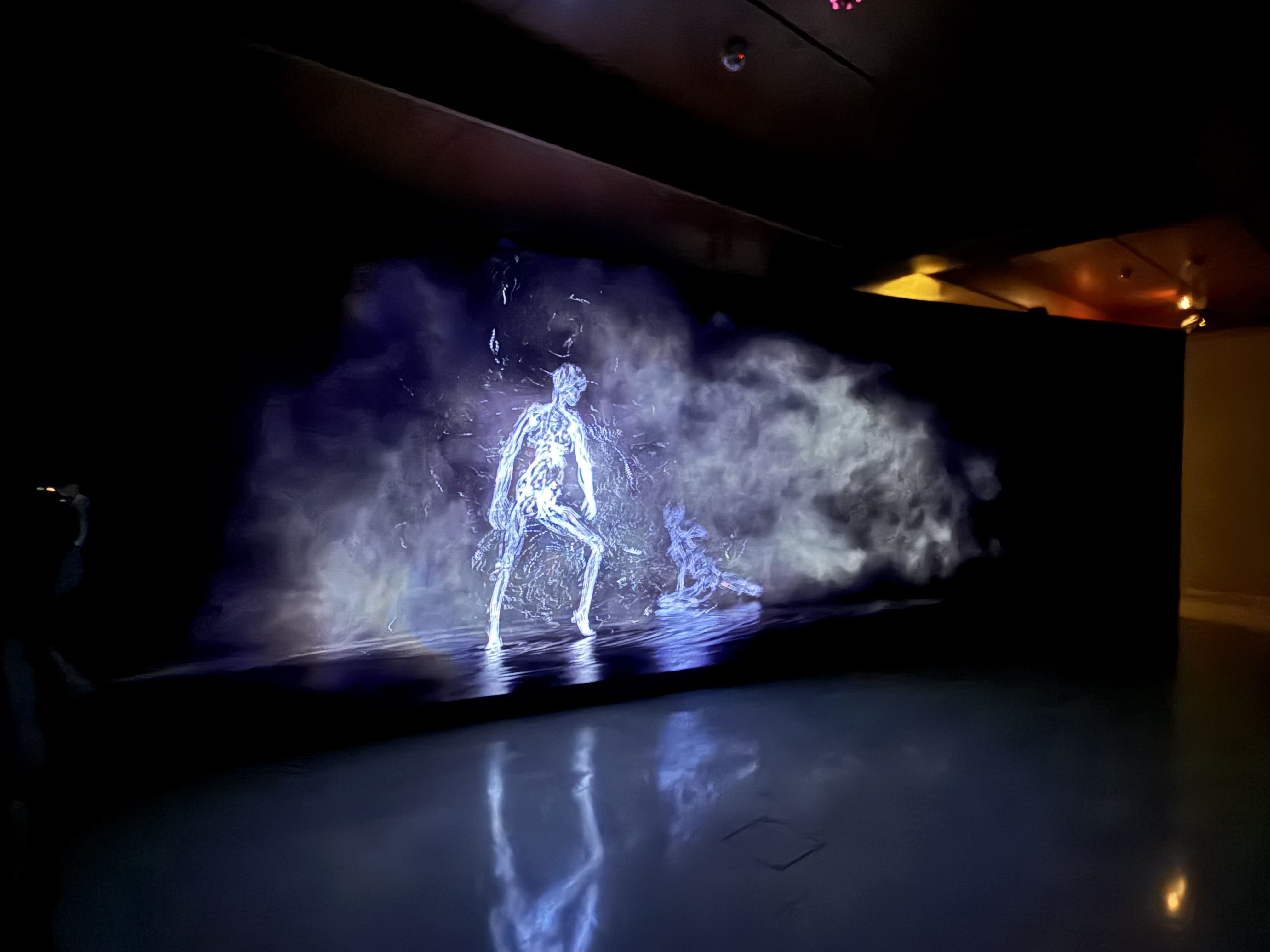 ROE Visual provides LED canvas for immersive digital install at Somerset House in London